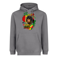 Storm free ish since 1865 Heavyweight Hoodie - HRA Design Shop