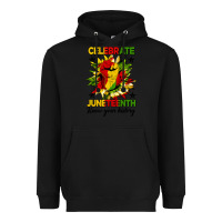 Black celebrate juneteenth know your history Heavyweight Hoodie - HRA Design Shop