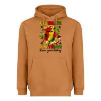 Meerkat celebrate juneteenth know your history Heavyweight Hoodie - HRA Design Shop