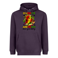 Plum celebrate juneteenth know your history Heavyweight Hoodie - HRA Design Shop