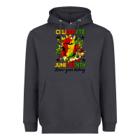 Smoke celebrate juneteenth know your history Heavyweight Hoodie - HRA Design Shop