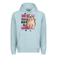 Blue Mist 100 days of school Premium Hoodie - MaliasSmallBusiness
