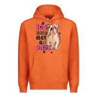Carrot 100 days of school Premium Hoodie - MaliasSmallBusiness