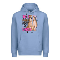 Colony Blue 100 days of school Premium Hoodie - MaliasSmallBusiness