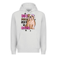 Dove Grey 100 days of school Premium Hoodie - MaliasSmallBusiness