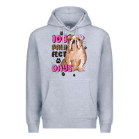 Heather Grey 100 days of school Premium Hoodie - MaliasSmallBusiness