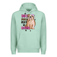 Seafoam 100 days of school Premium Hoodie - MaliasSmallBusiness