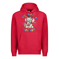 Cardinal it's ok to be different Premium Hoodie - MaliasSmallBusiness