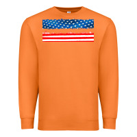 Carrot usa ice cream and popsicles Premium Sweatshirt - AdoDesignShop