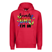 Cardinal sounds gay i'm in Premium Hoodie - MaliasSmallBusiness