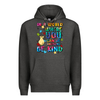 Charcoal Heather in a world where you can be anything Premium Hoodie - MaliasSmallBusiness