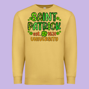 Saint Patrick University Premium Sweatshirt Designed By Artiststas
