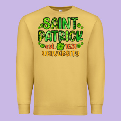 Saint Patrick University Premium Sweatshirt Designed By Artiststas