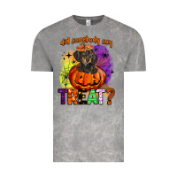 Cloud Rock did somebody say treat Vintage Tee - BarkalooDesign