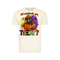 Vintage Arctic did somebody say treat Vintage Tee - BarkalooDesign