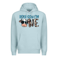 Blue Mist holy cow i'm one Premium Hoodie - MaliasSmallBusiness