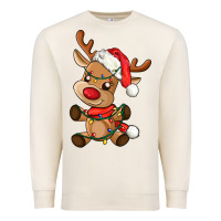 Sandshell baby christmas reindeer Premium Sweatshirt - AdoDesignShop