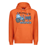 Carrot promoted to big brother Premium Hoodie - MaliasSmallBusiness