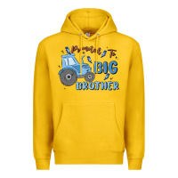 Lemon promoted to big brother Premium Hoodie - MaliasSmallBusiness