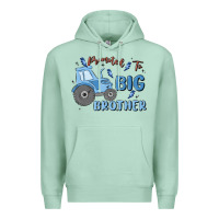 Seafoam promoted to big brother Premium Hoodie - MaliasSmallBusiness