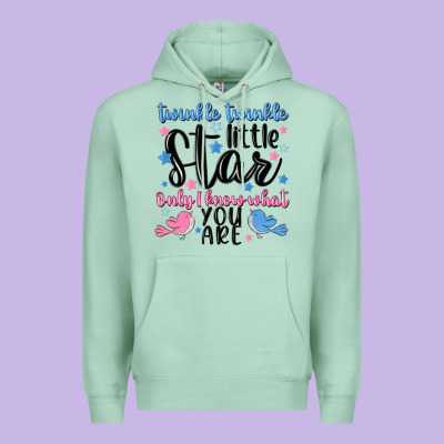 Twinkle Twinkle Little Star Premium Hoodie Designed By Maliassmallbusiness