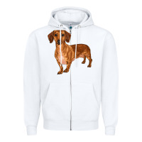 White dachshund Zipper Hoodie - RanaPortraitStore
