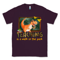 Plum teaching is a walk in the park Classic Tee - texasbilliewilder