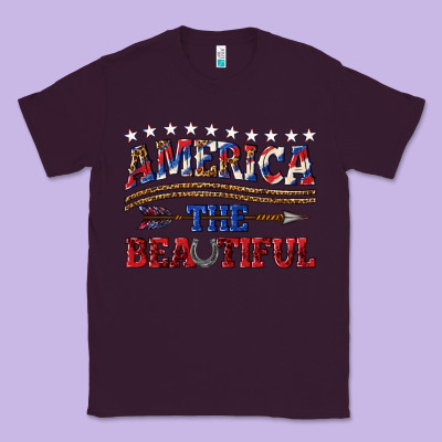 Classic Tee America the beautiful