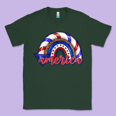 Classic Tee America rainbow