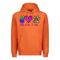 Carrot Peace Love Pride Premium Hoodie - Jasminsmagicworld