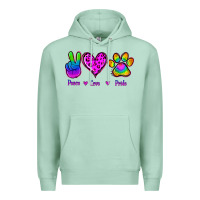 Seafoam Peace Love Pride Premium Hoodie - Jasminsmagicworld