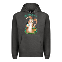 Charcoal Heather Babies First Easter Boys Premium Hoodie - Jasminsmagicworld