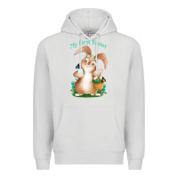 Dove Grey Babies First Easter Boys Premium Hoodie - Jasminsmagicworld