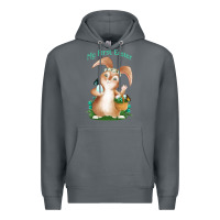 Rock Babies First Easter Boys Premium Hoodie - Jasminsmagicworld