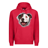 Cardinal pittbull gray glitter Premium Hoodie - Jasminsmagicworld