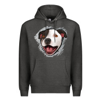 Charcoal Heather pittbull gray glitter Premium Hoodie - Jasminsmagicworld