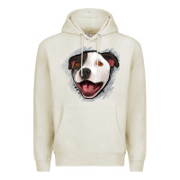 Oatmeal Heather pittbull gray glitter Premium Hoodie - Jasminsmagicworld