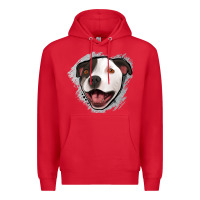 Red pittbull gray glitter Premium Hoodie - Jasminsmagicworld