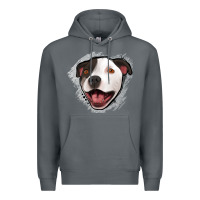 Rock pittbull gray glitter Premium Hoodie - Jasminsmagicworld