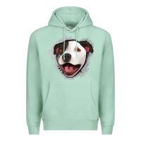 Seafoam pittbull gray glitter Premium Hoodie - Jasminsmagicworld