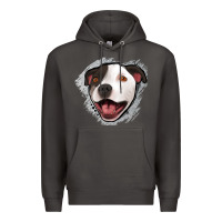 Smoke pittbull gray glitter Premium Hoodie - Jasminsmagicworld
