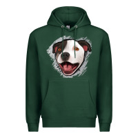 Sports Green pittbull gray glitter Premium Hoodie - Jasminsmagicworld