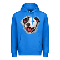 True Royal pittbull gray glitter Premium Hoodie - Jasminsmagicworld