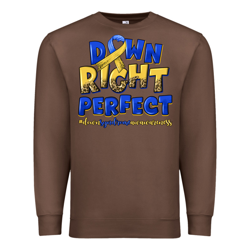 Down Right Perfect Down Syndrome Premium Sweatshirt by Artiststas | Teevron