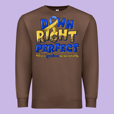 Down Right Perfect Down Syndrome Premium Sweatshirt Designed By Artiststas