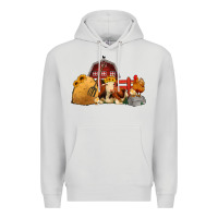 Dove Grey Red Barn Farm Animals Premium Hoodie - Jasminsmagicworld