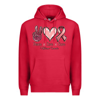 Cardinal Peace Love Cure Uterine Cancer Premium Hoodie - Jasminsmagicworld