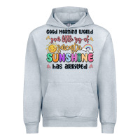 Heather Grey good morning world your little ray of sarcastic Urban Hoodie - MaliasSmallBusiness