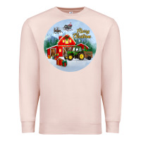 Pale Pink merry christmas small town christmas ornament Premium Sweatshirt - BundleAndBundleShop