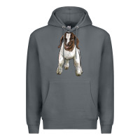 Rock baby boer goat Premium Hoodie - LillyAllenDesigns